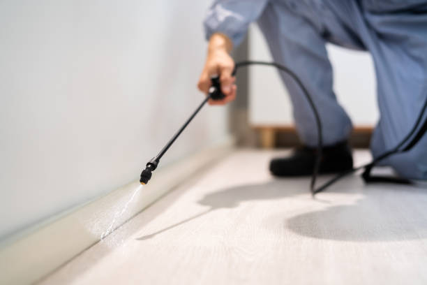 Licensed Termite Control service in Blackstone, VA - Nex Pest Control
