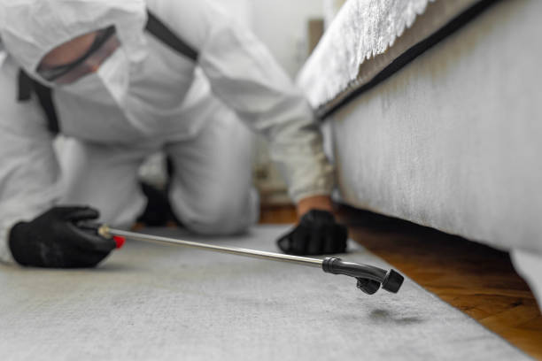 Professional Termite Control technician working in Blackstone, VA