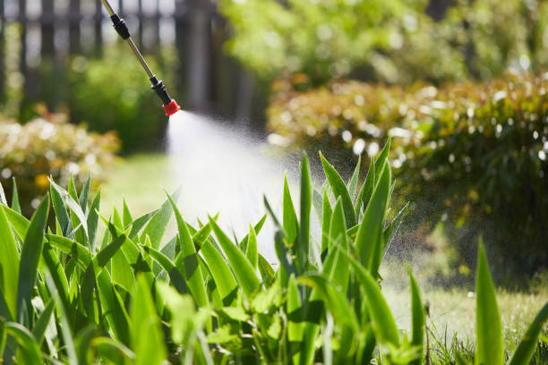 24/7 Emergency Termite Control experts in Blackstone, VA