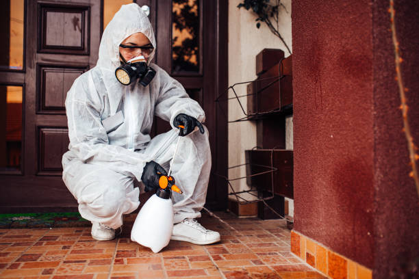 Reliable Termite Control contractor in Blackstone, VA by Nex Pest Control